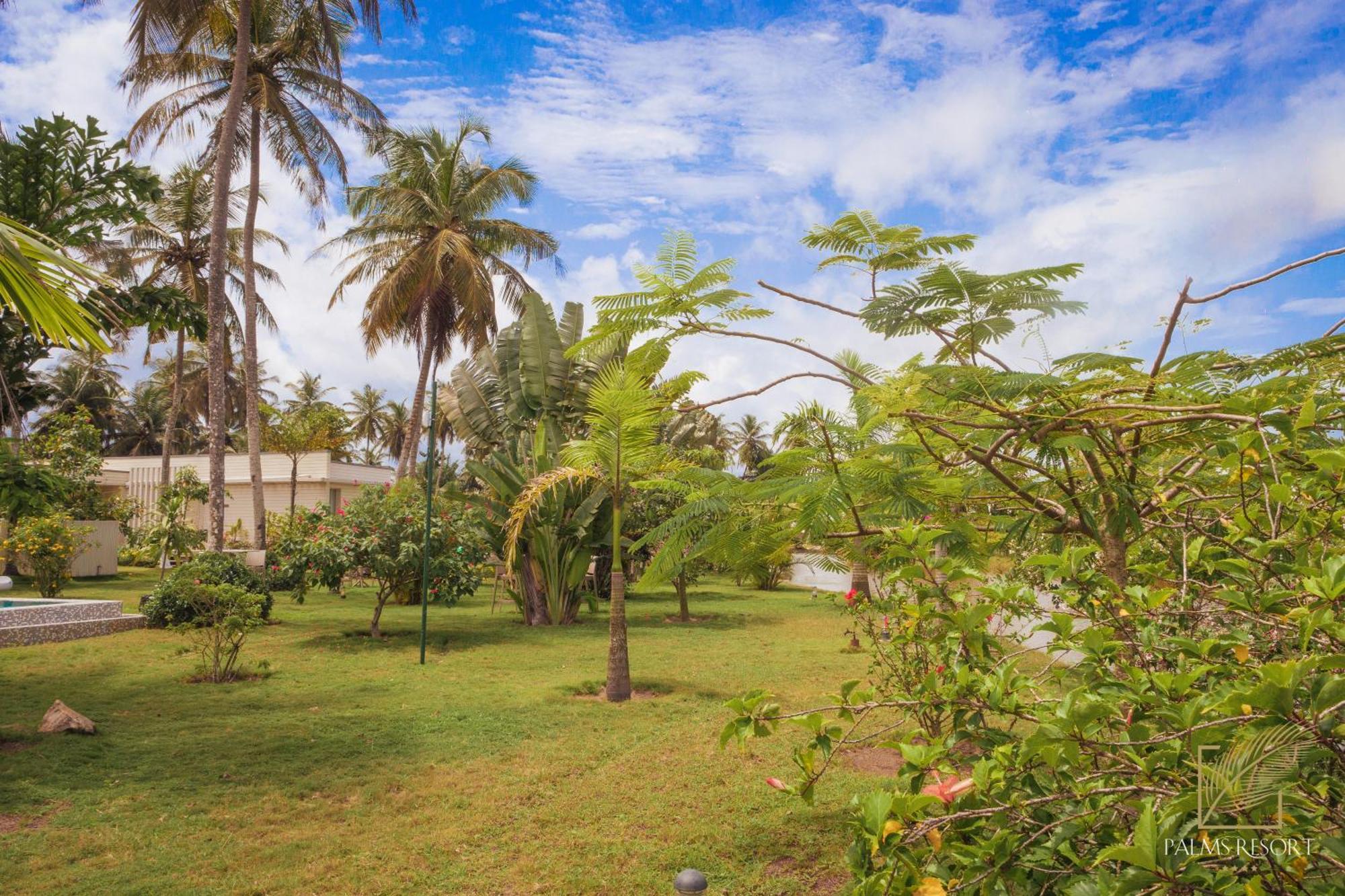 Palms Resort Assinie Managed By Accor Eksteriør billede